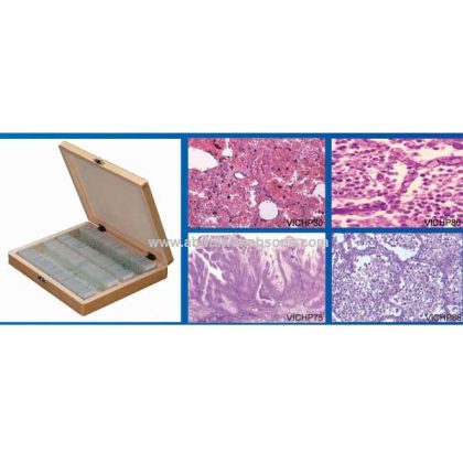 Microscopes Slides
