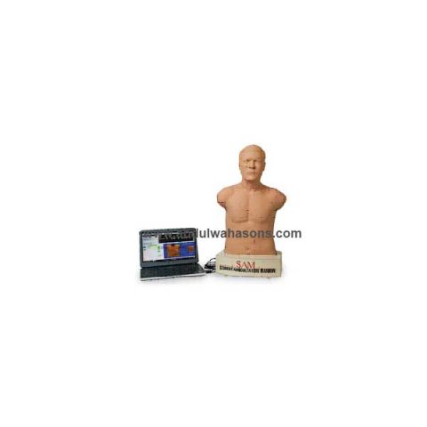 SAM II, the Student Auscultation Manikin - Light Skin