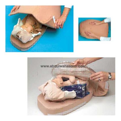 Abdominal Palpation Model