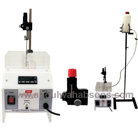 Student Single Tissue Bath