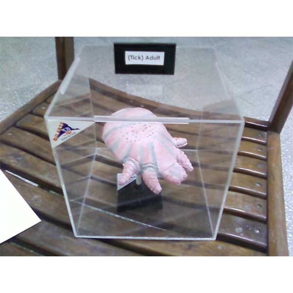 Community Medicine Products - Image 20