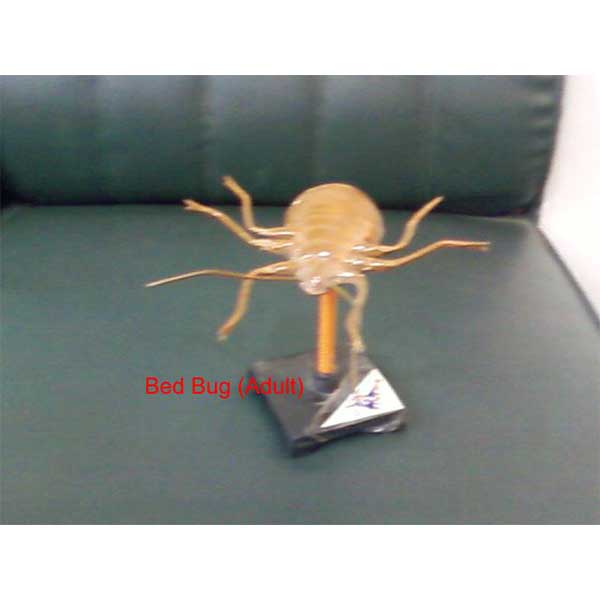 Community Medicine Products - Image 24