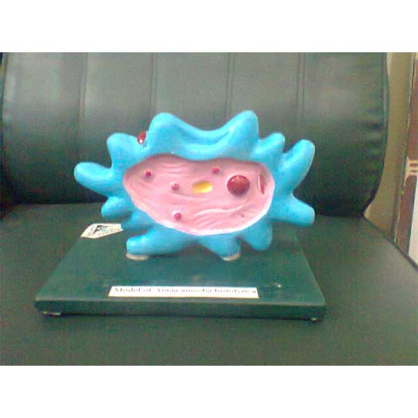 Community Medicine Products - Image 29