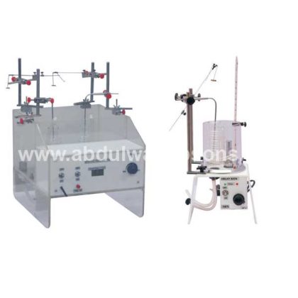 Isolated Organ and Tissue 3