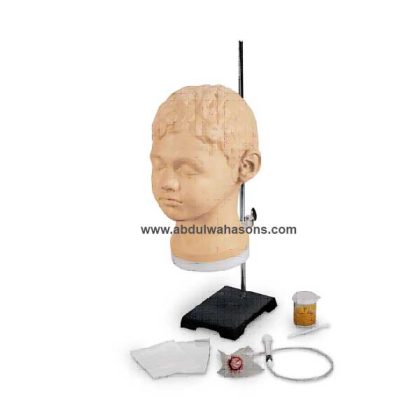 Diagnostic and Procedural Ear Trainer