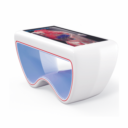 3D Anatomy Interactive Table