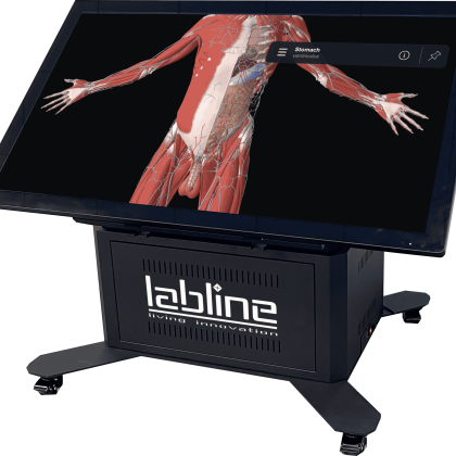 3D Anatomy Dissection Table - 3D Interactive Anatomy Table - Cyber Anatomy Board - Labline - Pirogov - AWS