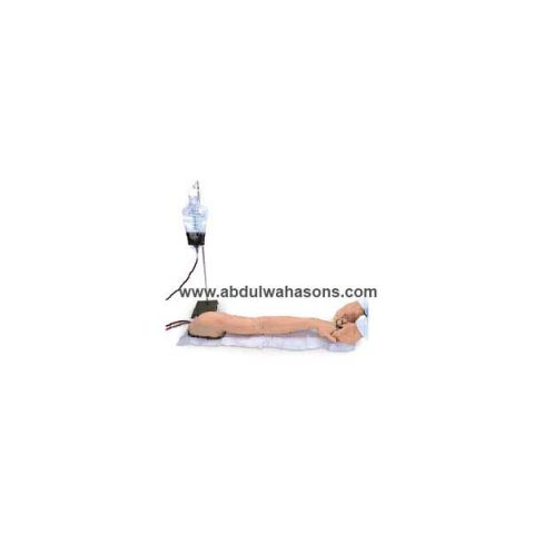 Advanced Venipuncture and Injection Arm - Light