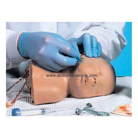 Pediatric Head