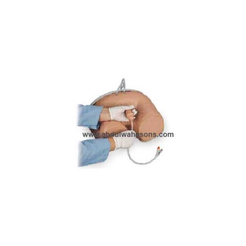 Male Catheterization Simulator
