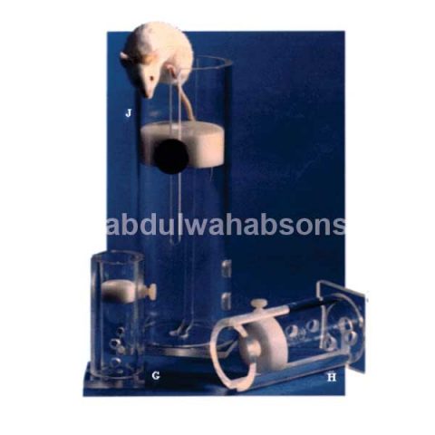 Broome Restrainers