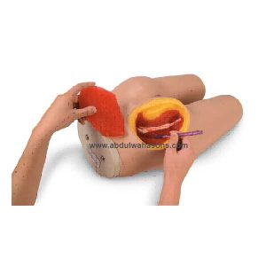 Intramuscular Injection Simulator