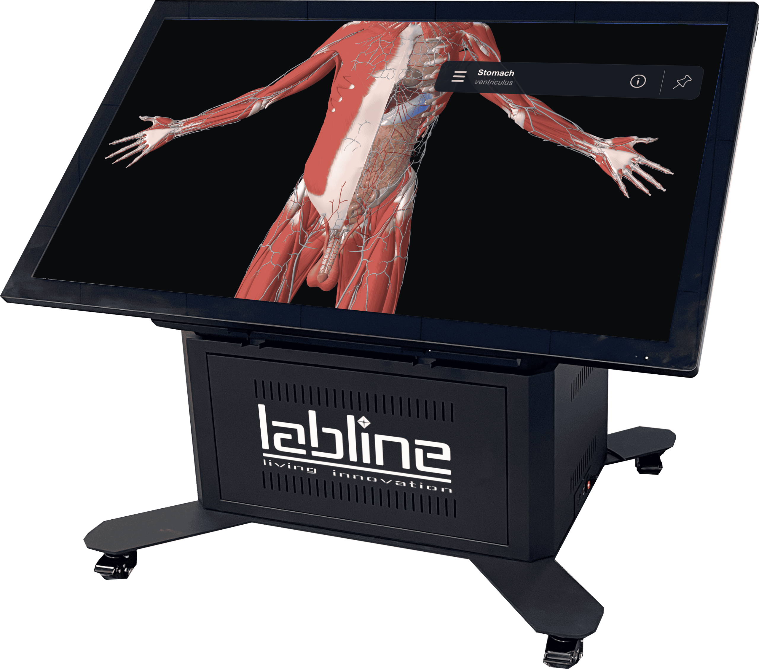 3D Anatomy Dissection Table - 3D Interactive Anatomy Table - Cyber Anatomy Board - Labline - Pirogov - AWS